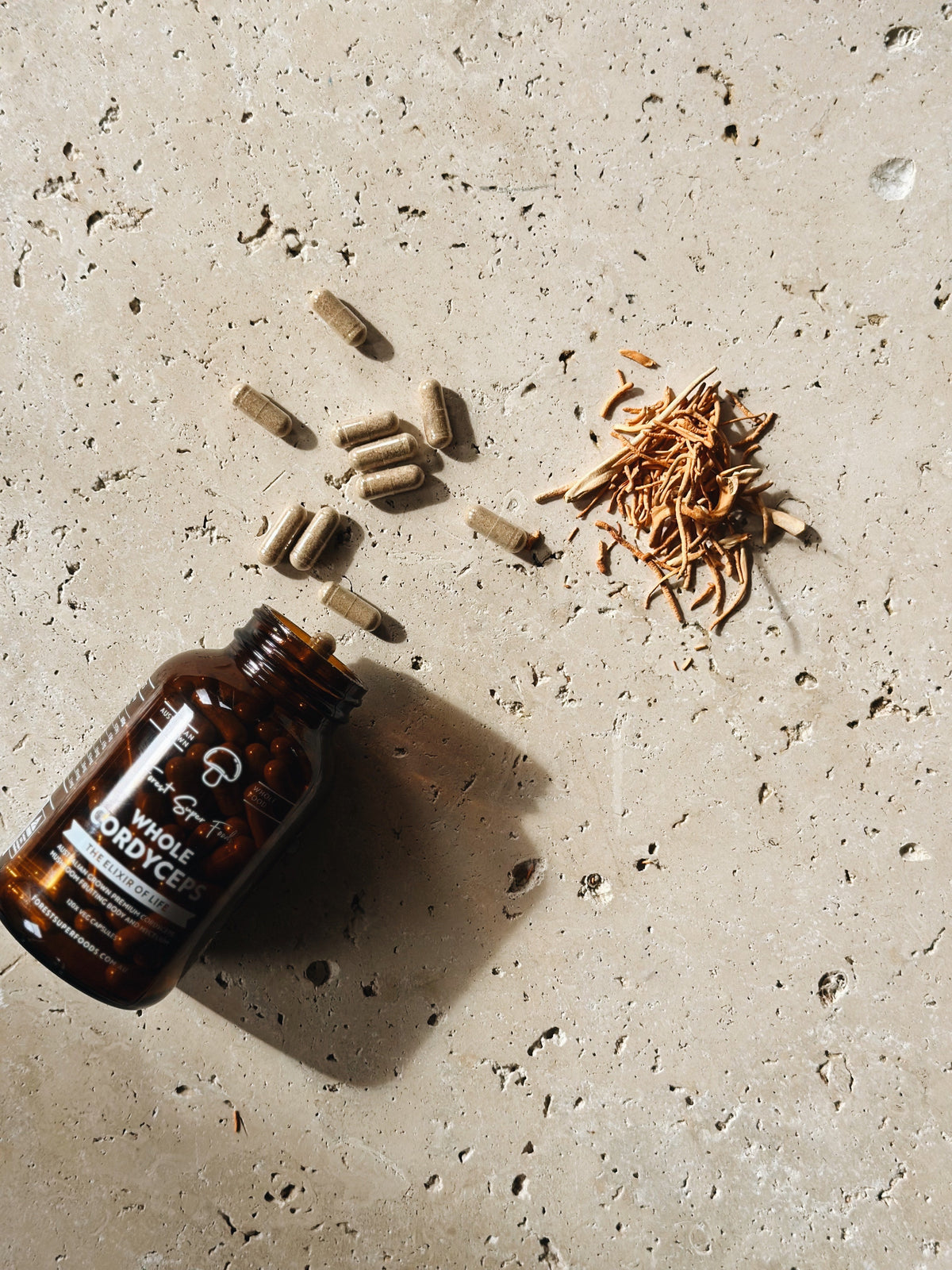 Cordyceps: An Overview of a Traditional Tonic Fungus